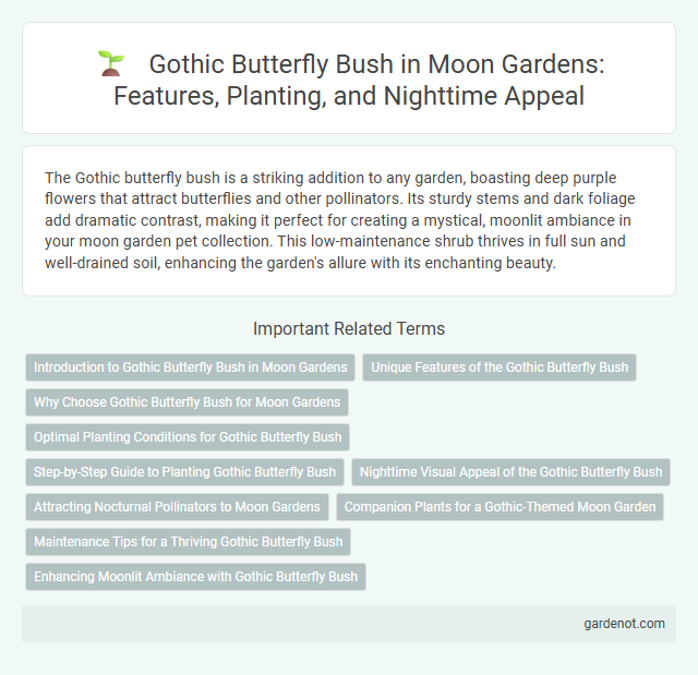 Gothic Butterfly Bush in Moon Gardens: Features, Planting, and Nighttime Appeal