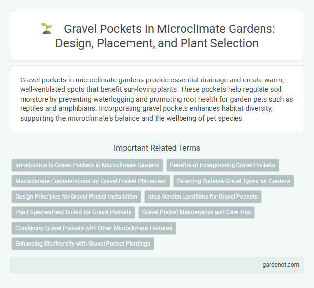 Gravel Pockets in Microclimate Gardens: Design, Placement, and Plant Selection