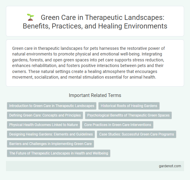 Green Care in Therapeutic Landscapes: Benefits, Practices, and Healing Environments
