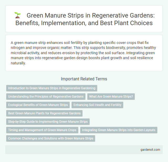 Green Manure Strips in Regenerative Gardens: Benefits, Implementation, and Best Plant Choices
