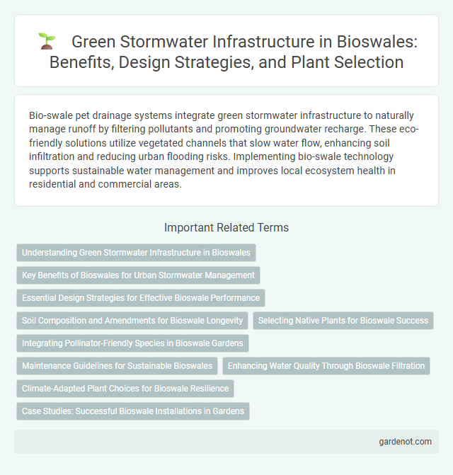 Green Stormwater Infrastructure in Bioswales: Benefits, Design Strategies, and Plant Selection