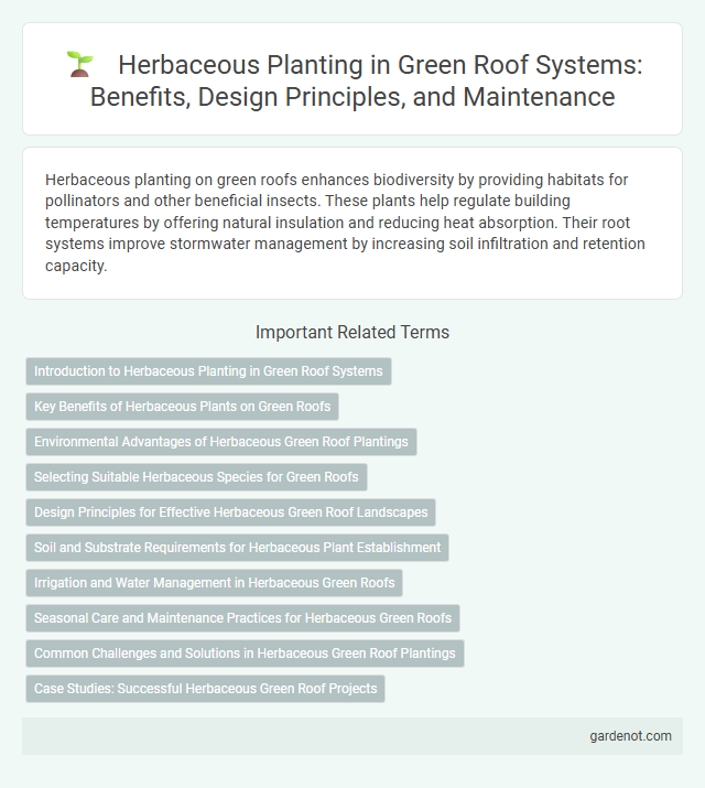 Herbaceous Planting in Green Roof Systems: Benefits, Design Principles, and Maintenance