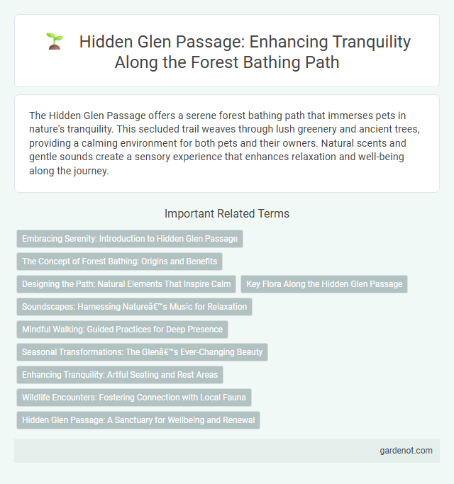 Hidden Glen Passage: Enhancing Tranquility Along the Forest Bathing Path