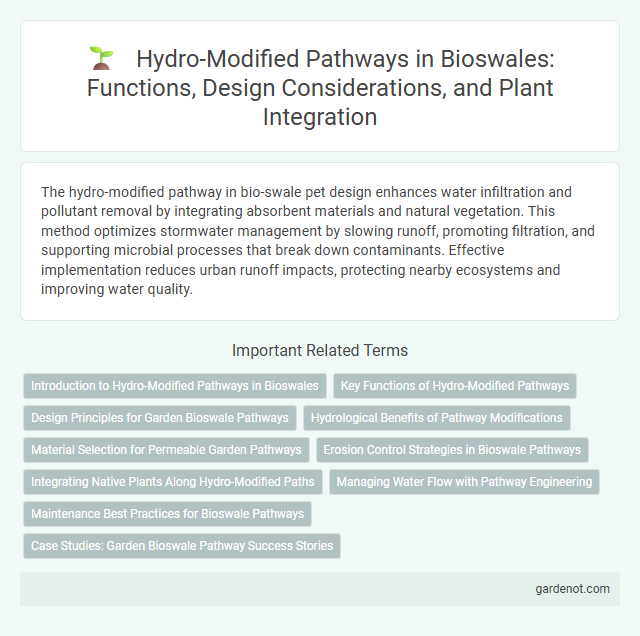 Hydro-Modified Pathways in Bioswales: Functions, Design Considerations, and Plant Integration