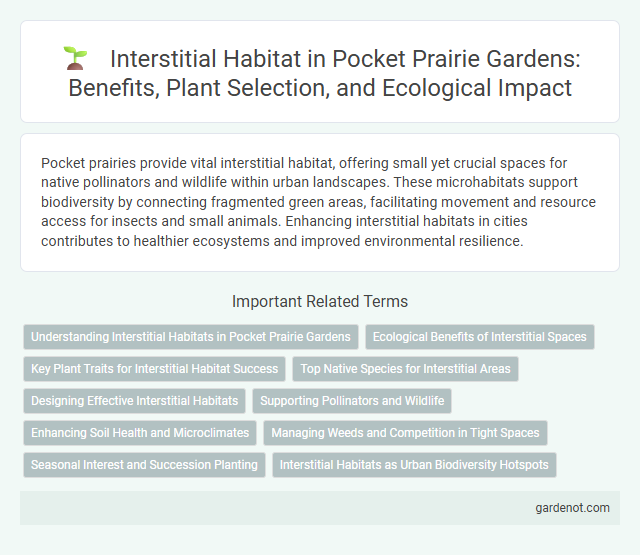 Interstitial Habitat in Pocket Prairie Gardens: Benefits, Plant Selection, and Ecological Impact