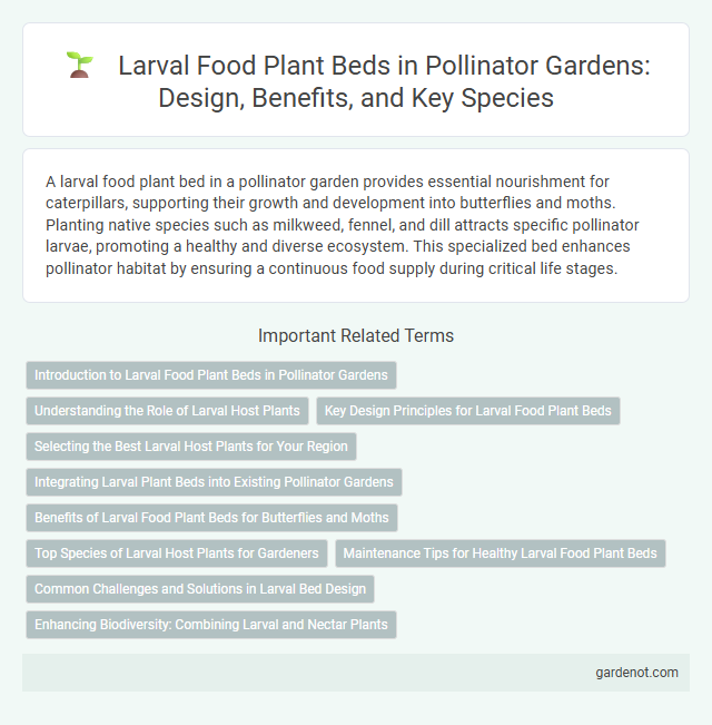 Larval Food Plant Beds in Pollinator Gardens: Design, Benefits, and Key Species