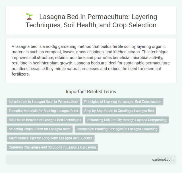 Lasagna Bed in Permaculture: Layering Techniques, Soil Health, and Crop Selection