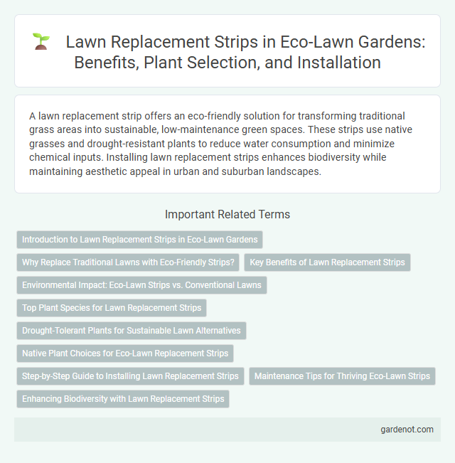 Lawn Replacement Strips in Eco-Lawn Gardens: Benefits, Plant Selection, and Installation