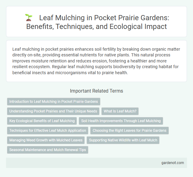 Leaf Mulching in Pocket Prairie Gardens: Benefits, Techniques, and Ecological Impact