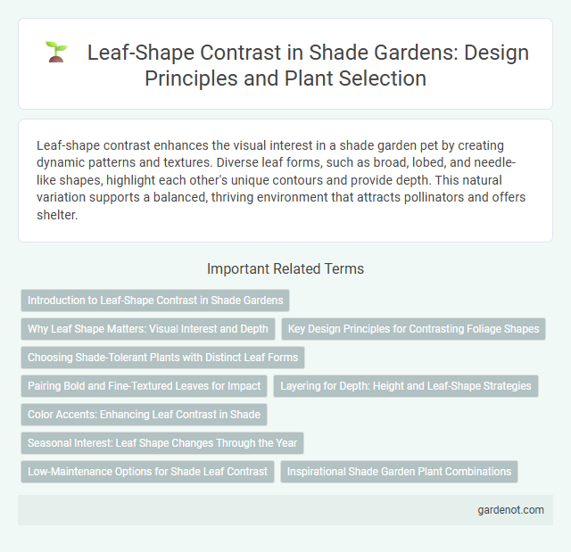 Leaf-Shape Contrast in Shade Gardens: Design Principles and Plant Selection