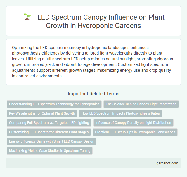 LED Spectrum Canopy Influence on Plant Growth in Hydroponic Gardens