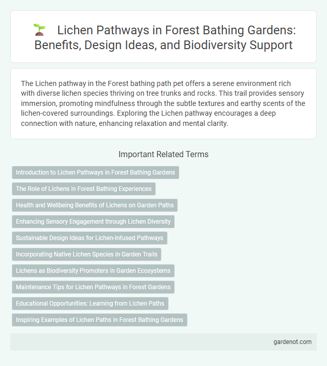 Lichen Pathways in Forest Bathing Gardens: Benefits, Design Ideas, and Biodiversity Support