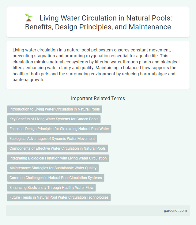 Living Water Circulation in Natural Pools: Benefits, Design Principles, and Maintenance