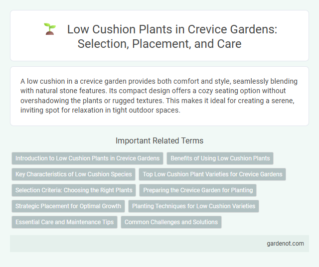 Low Cushion Plants in Crevice Gardens: Selection, Placement, and Care