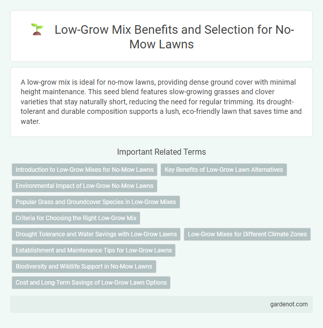 Low-Grow Mix Benefits and Selection for No-Mow Lawns