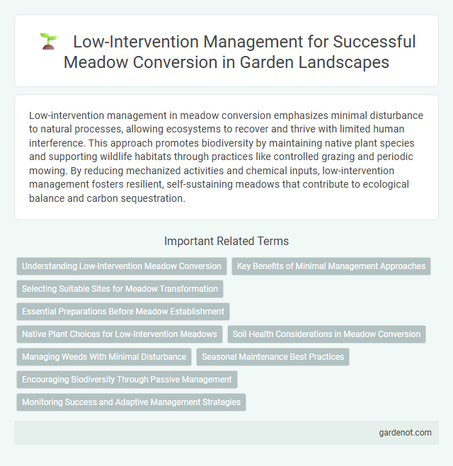 Low-Intervention Management for Successful Meadow Conversion in Garden Landscapes