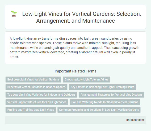 Low-Light Vines for Vertical Gardens: Selection, Arrangement, and Maintenance