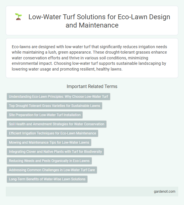 Low-Water Turf Solutions for Eco-Lawn Design and Maintenance