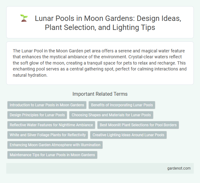 Lunar Pools in Moon Gardens: Design Ideas, Plant Selection, and Lighting Tips