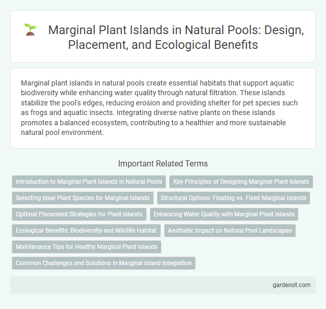 Marginal Plant Islands in Natural Pools: Design, Placement, and Ecological Benefits