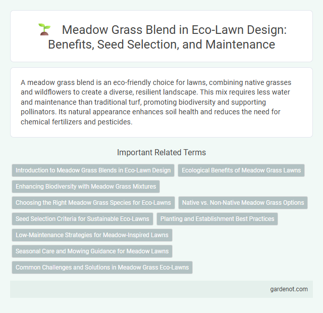 Meadow Grass Blend in Eco-Lawn Design: Benefits, Seed Selection, and Maintenance