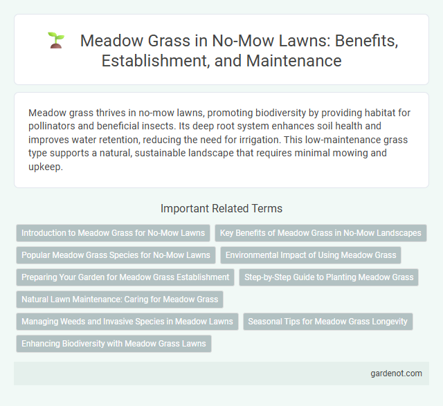 Meadow Grass in No-Mow Lawns: Benefits, Establishment, and Maintenance