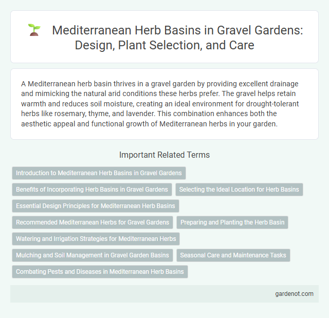 Mediterranean Herb Basins in Gravel Gardens: Design, Plant Selection, and Care