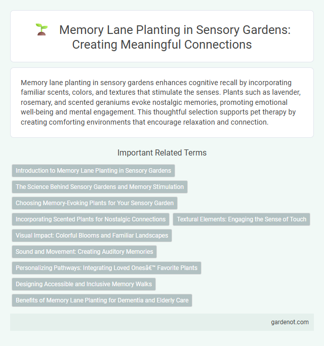 Memory Lane Planting in Sensory Gardens: Creating Meaningful Connections