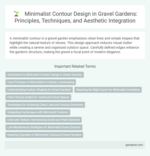 Minimalist Contour Design in Gravel Gardens: Principles, Techniques, and Aesthetic Integration