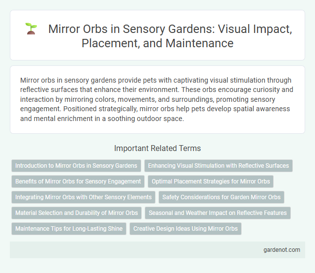 Mirror Orbs in Sensory Gardens: Visual Impact, Placement, and Maintenance