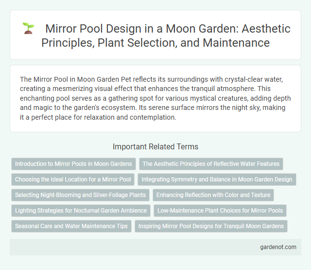 Mirror Pool Design in a Moon Garden: Aesthetic Principles, Plant Selection, and Maintenance