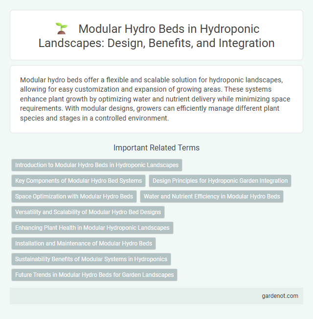 Modular Hydro Beds in Hydroponic Landscapes: Design, Benefits, and Integration