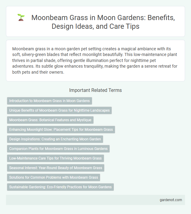 Moonbeam Grass in Moon Gardens: Benefits, Design Ideas, and Care Tips