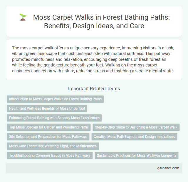 Moss Carpet Walks in Forest Bathing Paths: Benefits, Design Ideas, and Care