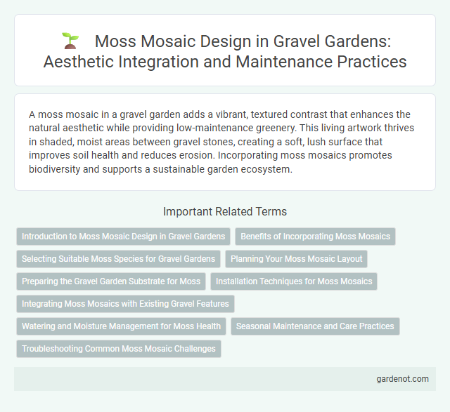 Moss Mosaic Design in Gravel Gardens: Aesthetic Integration and Maintenance Practices