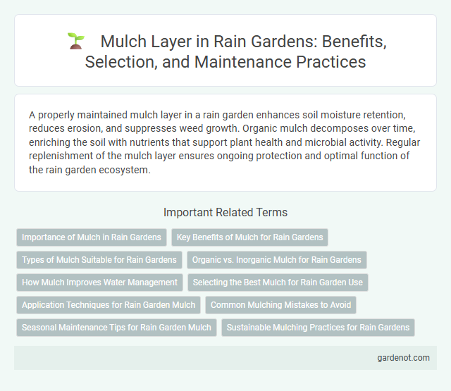 Mulch Layer in Rain Gardens: Benefits, Selection, and Maintenance Practices