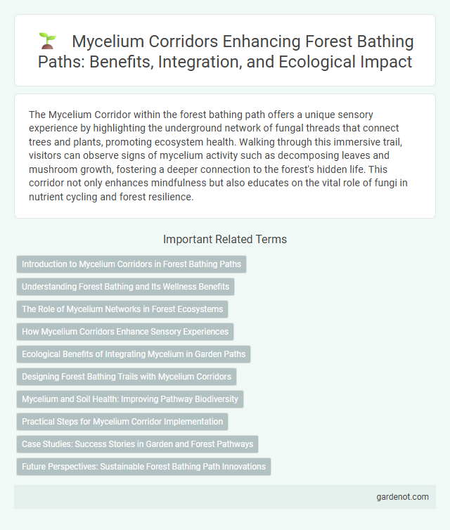 Mycelium Corridors Enhancing Forest Bathing Paths: Benefits, Integration, and Ecological Impact