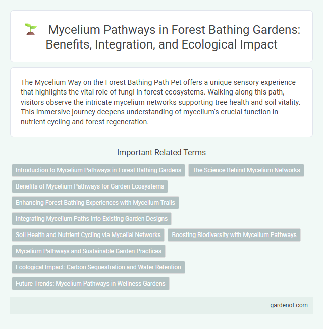 Mycelium Pathways in Forest Bathing Gardens: Benefits, Integration, and Ecological Impact