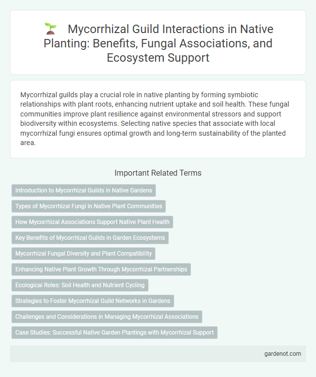 Mycorrhizal Guild Interactions in Native Planting: Benefits, Fungal Associations, and Ecosystem Support