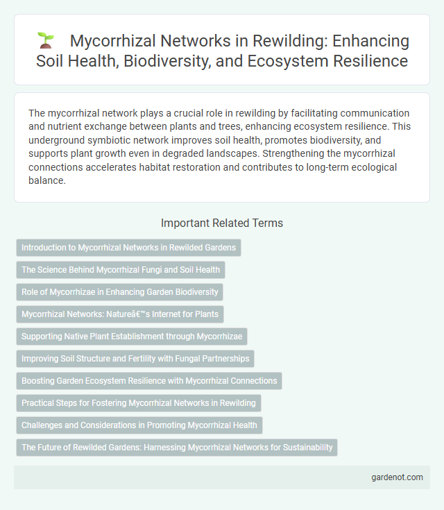 Mycorrhizal Networks in Rewilding: Enhancing Soil Health, Biodiversity, and Ecosystem Resilience
