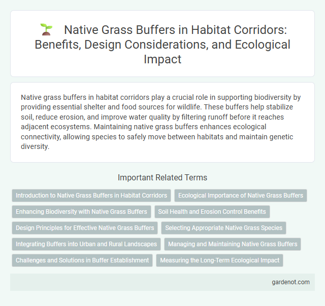 Native Grass Buffers in Habitat Corridors: Benefits, Design Considerations, and Ecological Impact