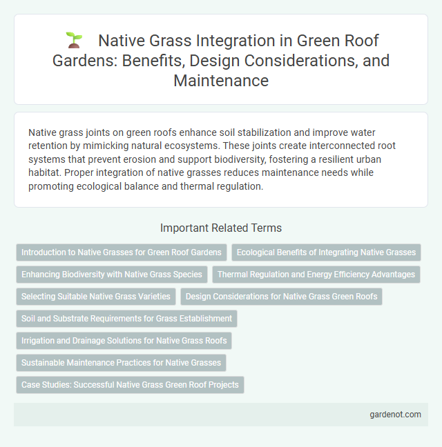 Native Grass Integration in Green Roof Gardens: Benefits, Design Considerations, and Maintenance