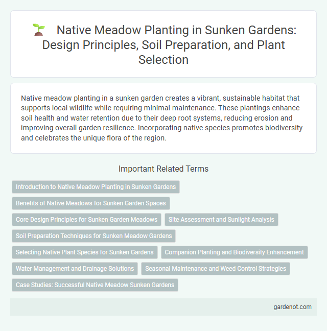 Native Meadow Planting in Sunken Gardens: Design Principles, Soil Preparation, and Plant Selection