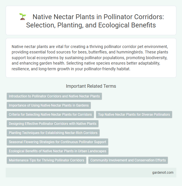 Native Nectar Plants in Pollinator Corridors: Selection, Planting, and Ecological Benefits