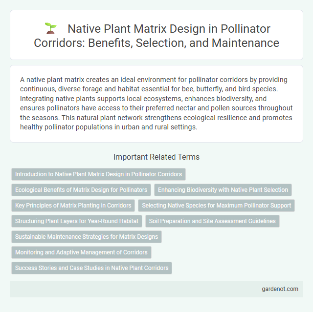 Native Plant Matrix Design in Pollinator Corridors: Benefits, Selection, and Maintenance