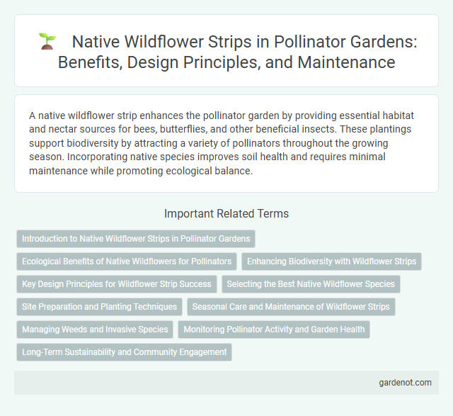 Native Wildflower Strips in Pollinator Gardens: Benefits, Design Principles, and Maintenance