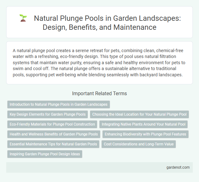 Natural Plunge Pools in Garden Landscapes: Design, Benefits, and Maintenance