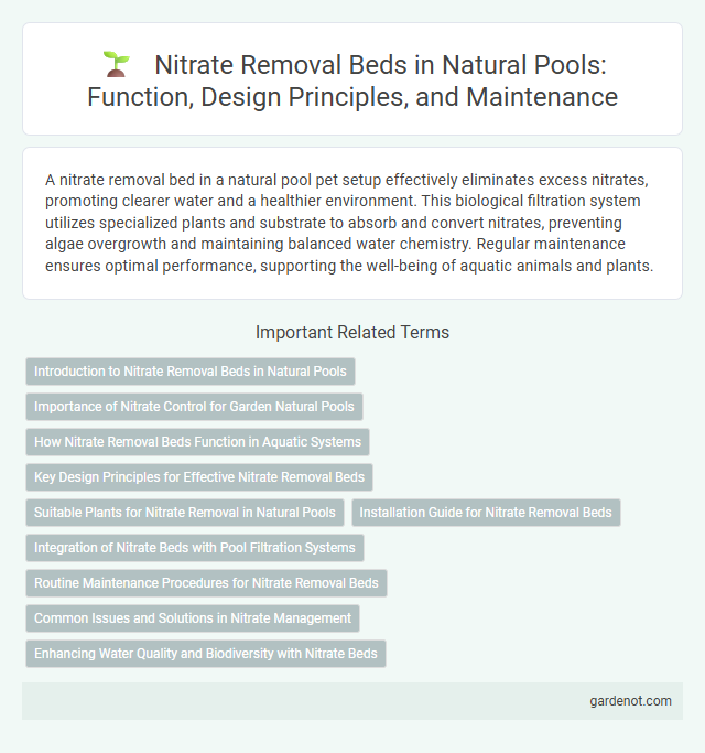Nitrate Removal Beds in Natural Pools: Function, Design Principles, and Maintenance