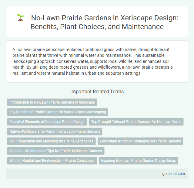No-Lawn Prairie Gardens in Xeriscape Design: Benefits, Plant Choices, and Maintenance