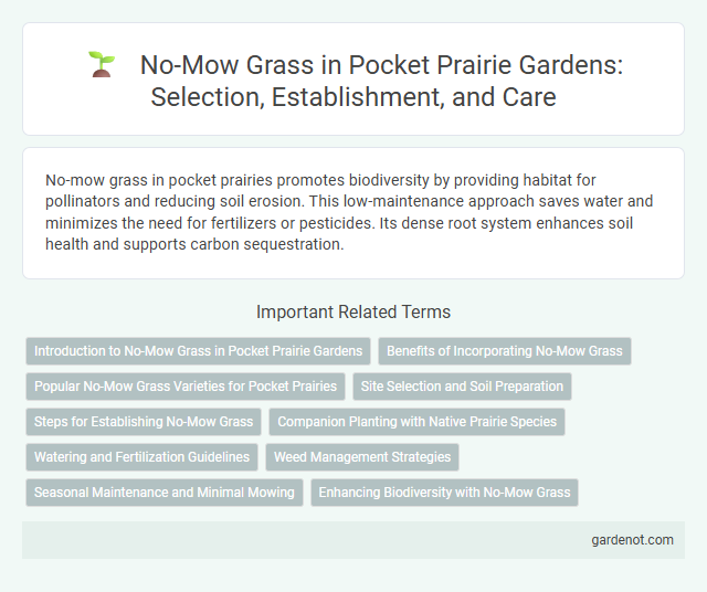 No-Mow Grass in Pocket Prairie Gardens: Selection, Establishment, and Care